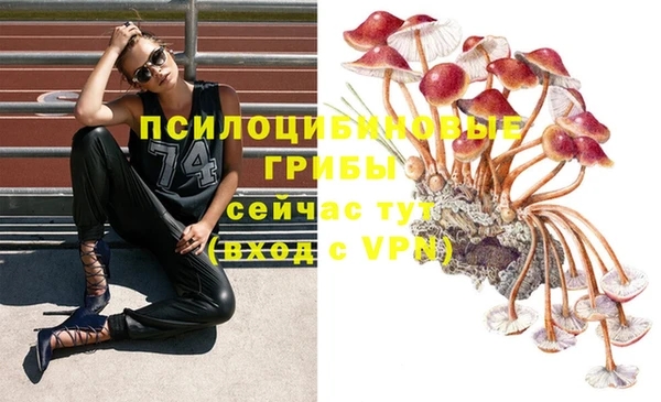 мет Верхний Тагил