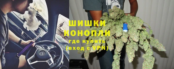 гидра Верея