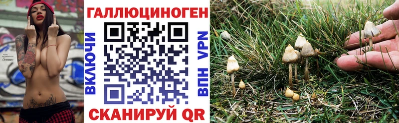 Псилоцибиновые грибы мухоморы  Санкт-Петербург 