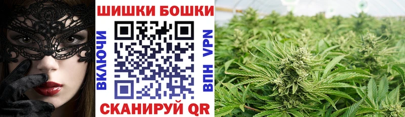 нарко площадка какой сайт  Санкт-Петербург  Каннабис план  как найти   блэк спрут рабочий сайт 